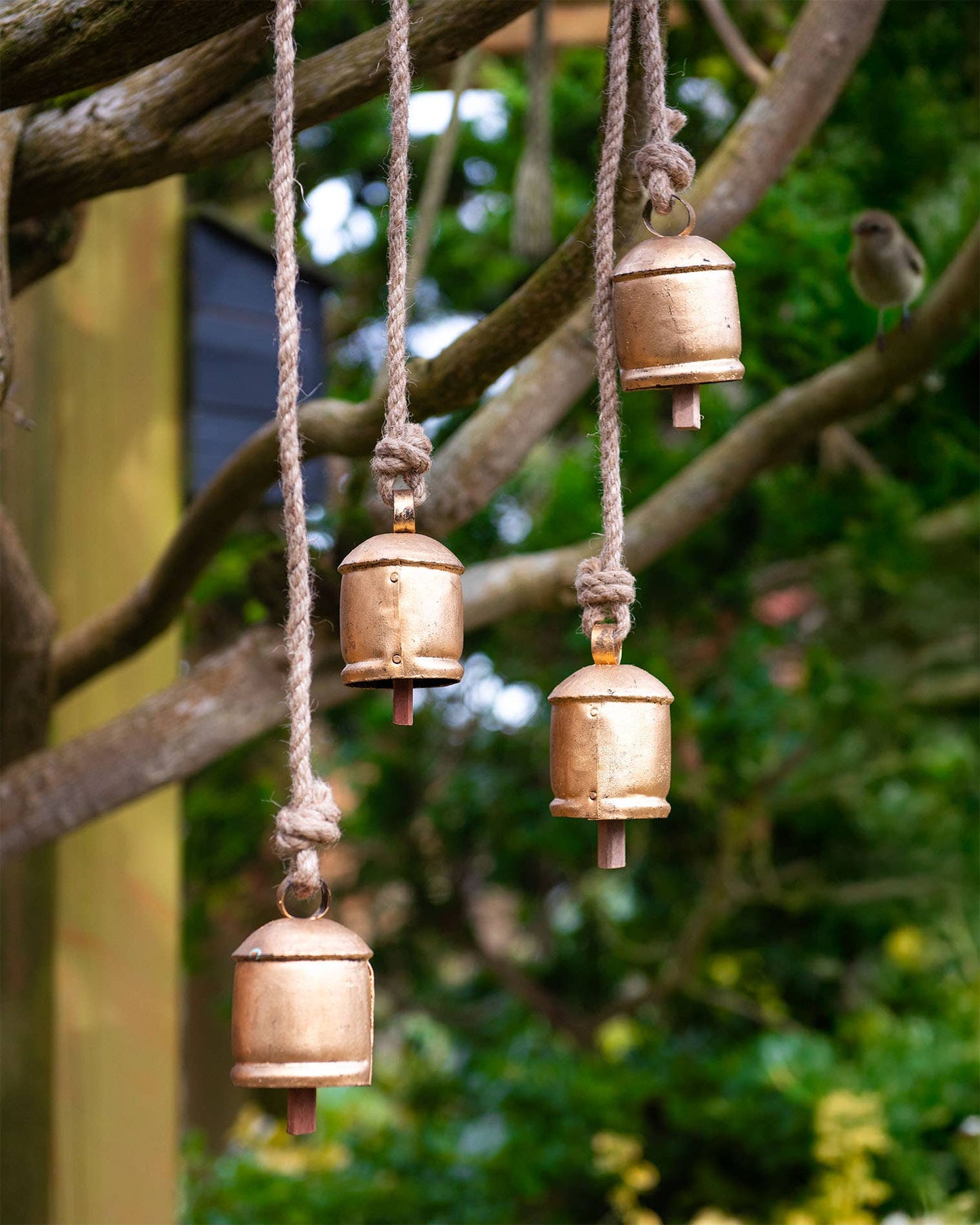 Four Large Vintage Bells on Rustic Rope