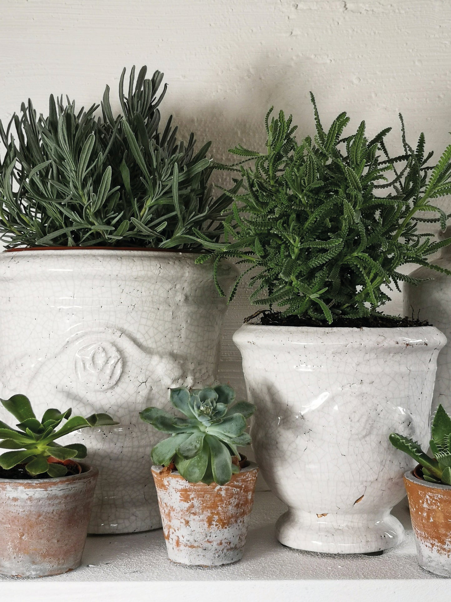 Large Merida Ivory Urn