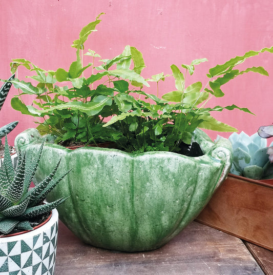 Verde Shell Planter