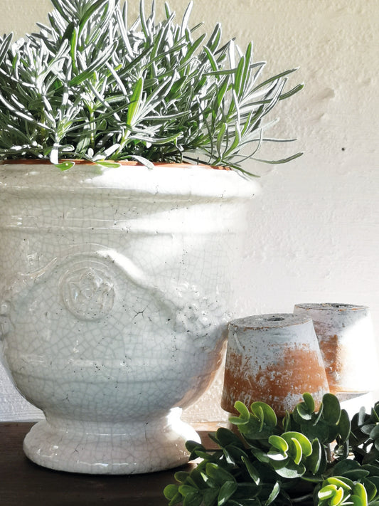 Large Merida Ivory Urn