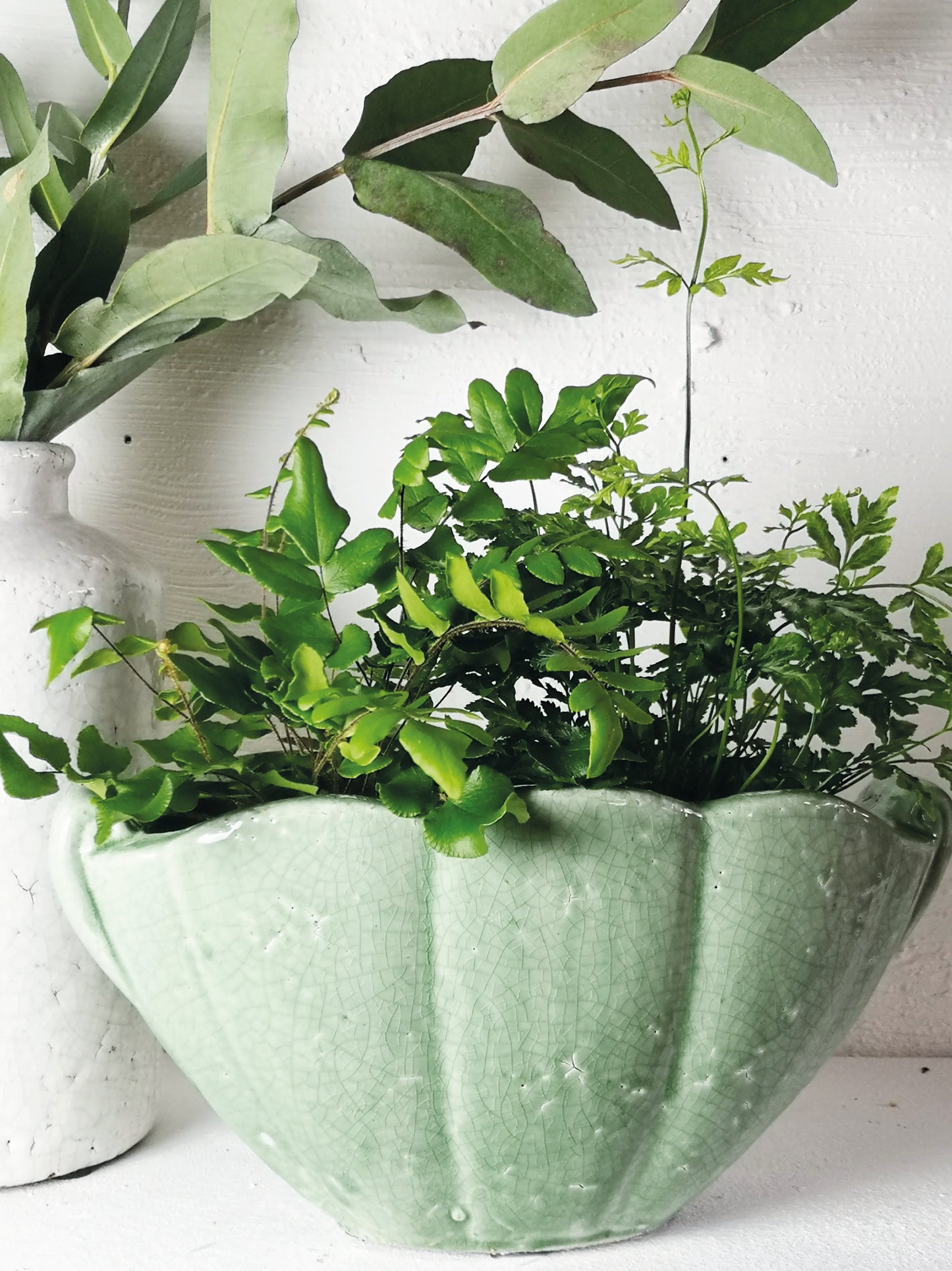 Verde Shell Planter