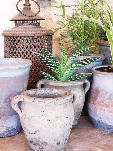 Vintage Double Handled Terracota Pot