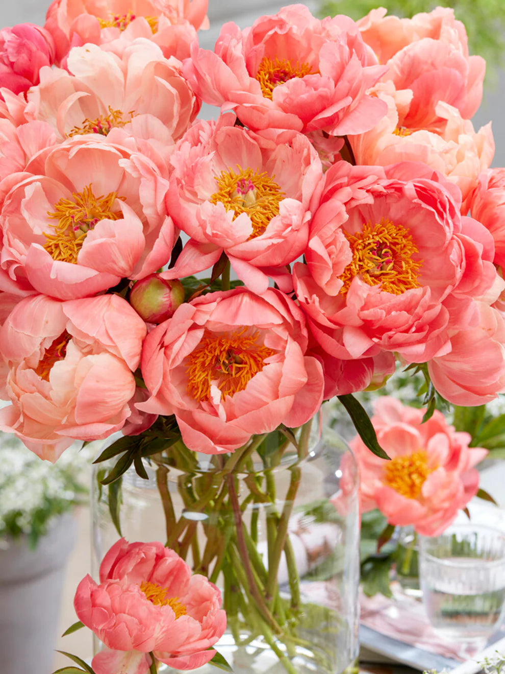 Seasonal Special Peony Bouquet  - Small