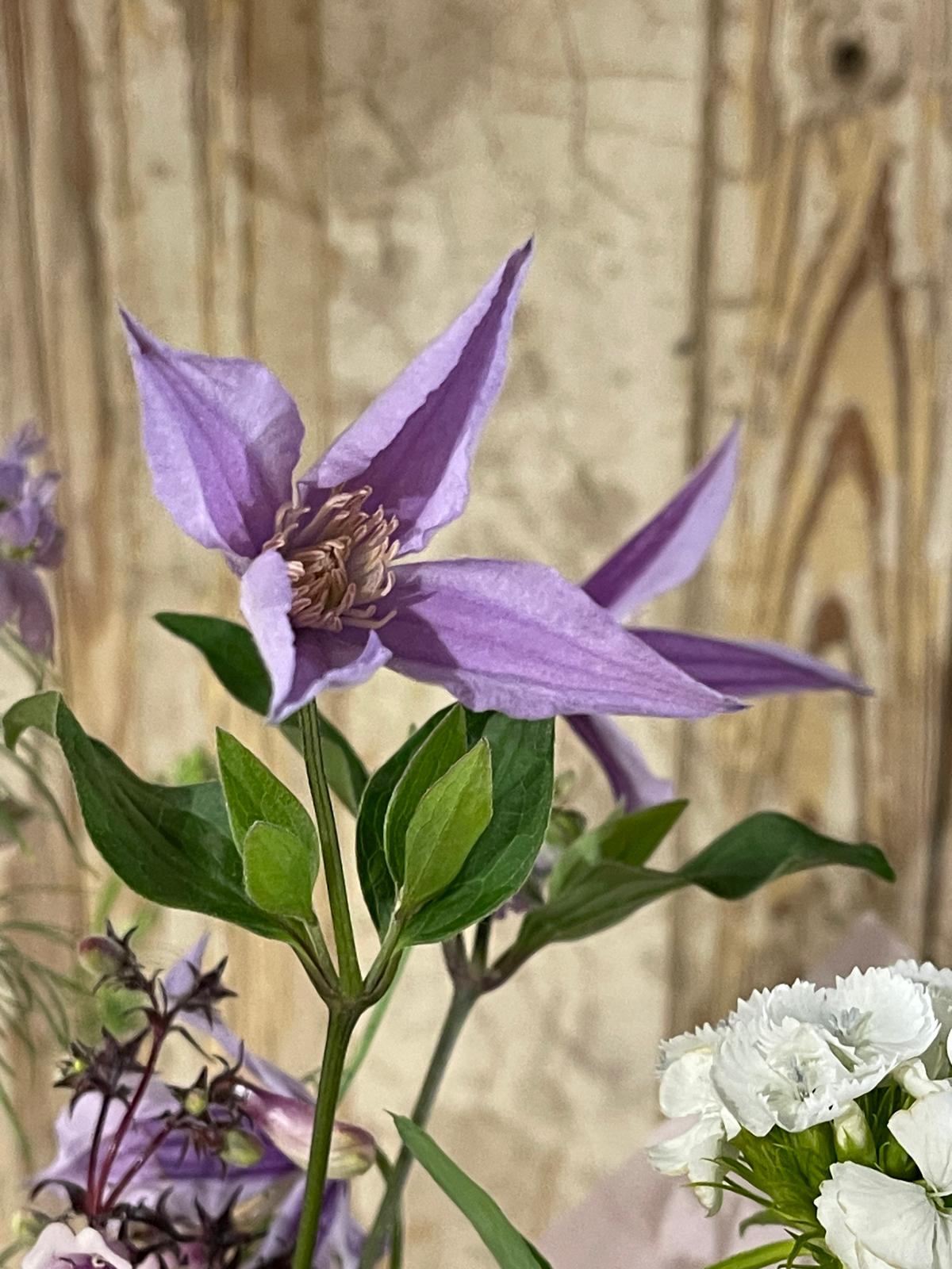 The Grand Gather – Luxury Seasonal Luxury Bouquet - Studio Collection